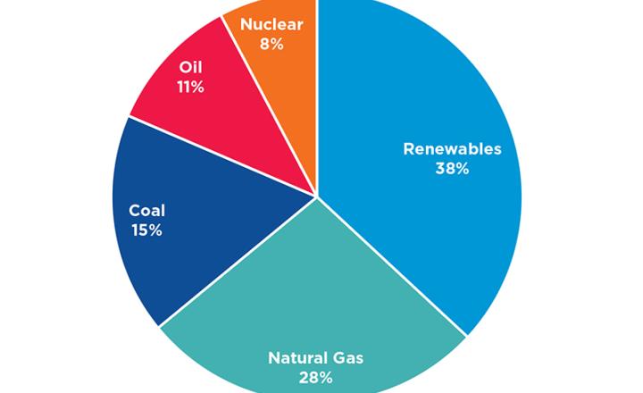Global energy supply chain pie chart. Source: IEA.