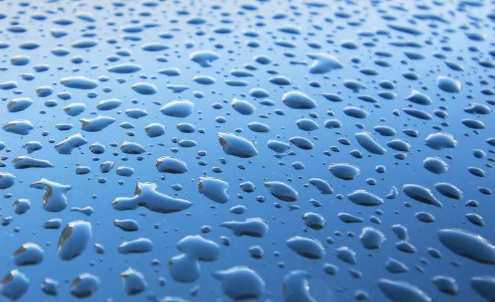 Water droplets on hood of a vehicle.