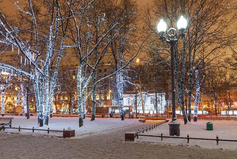 LED lighting illuminating a park in the winter