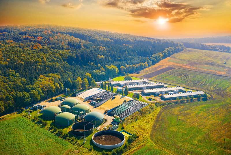 A modern agriculture site with biomass energy production.